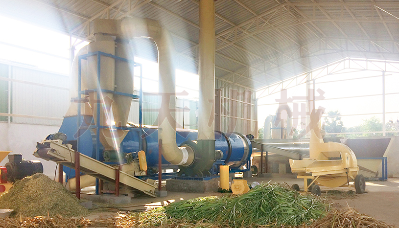 菲律（lǜ）宾象草烘干机案例现场（chǎng）